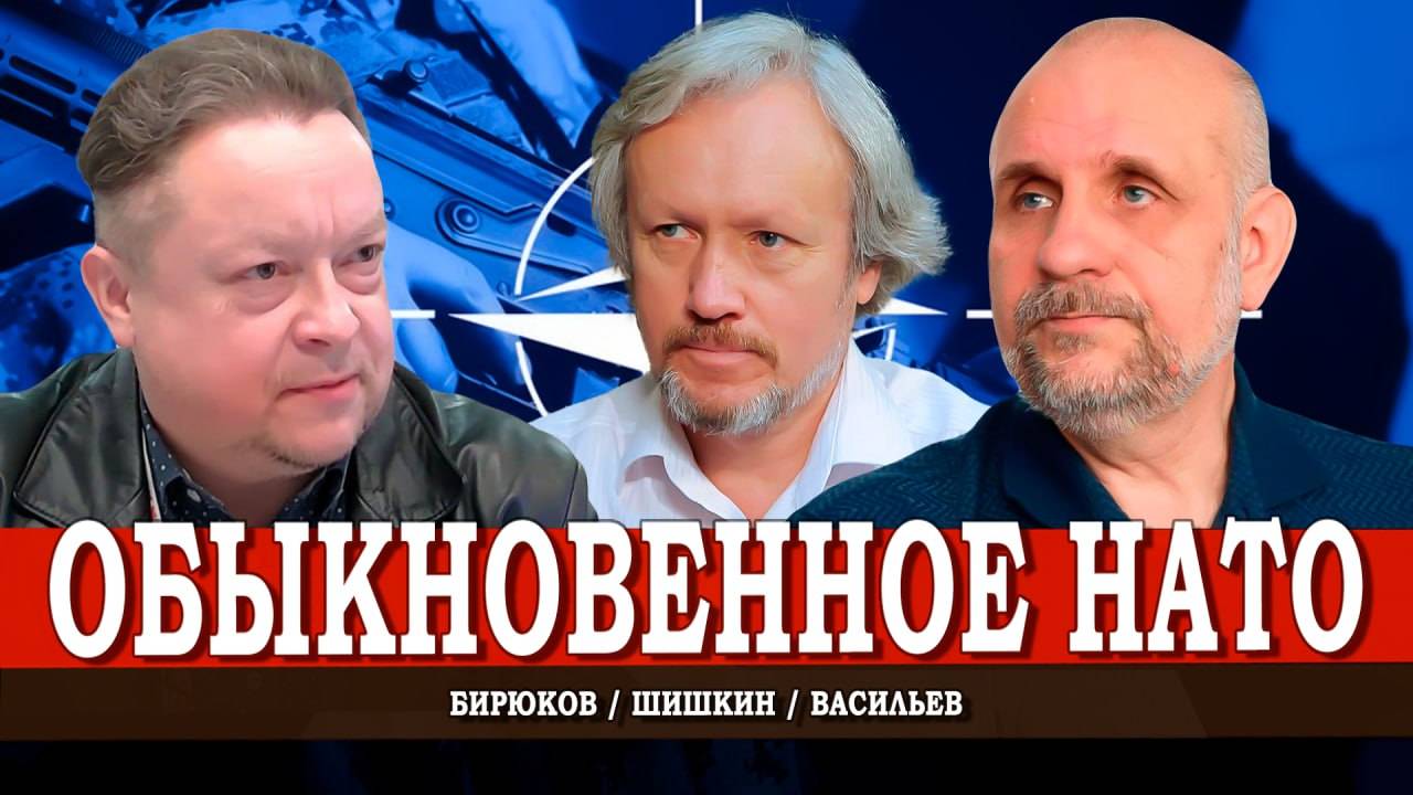 Москва и Минск сдерживают Запад, или Кто залетел в небо над НАТО | Васильев | Шишкин